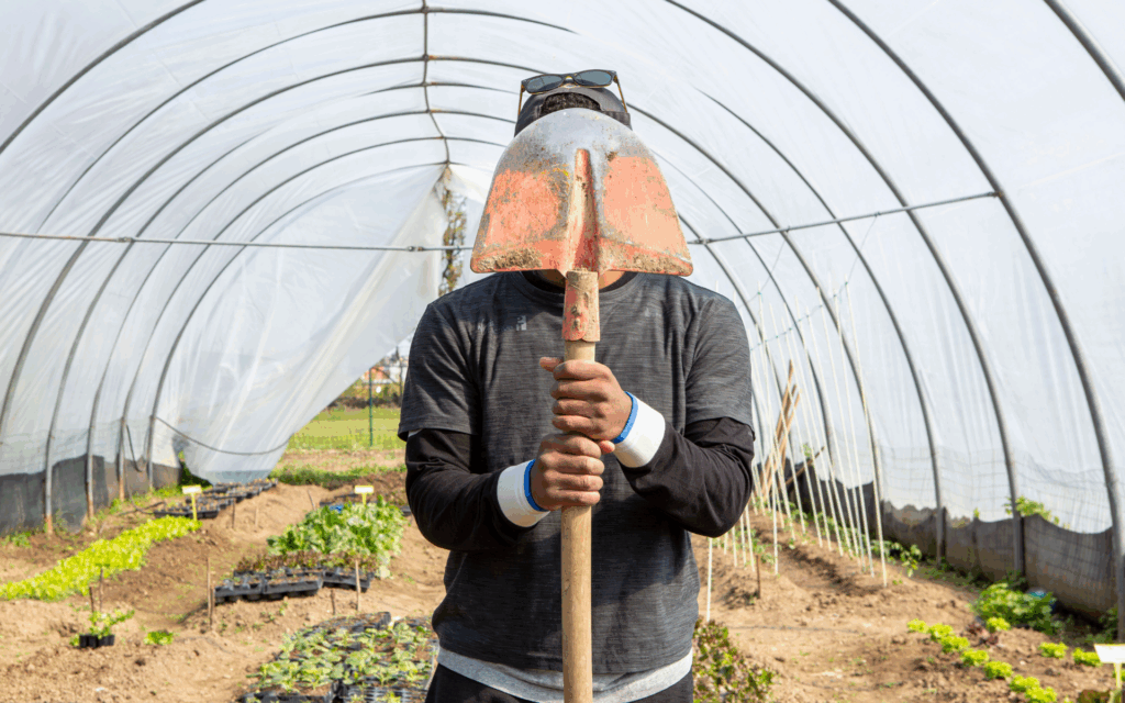 Lavori da fare nell'orto di gennaio