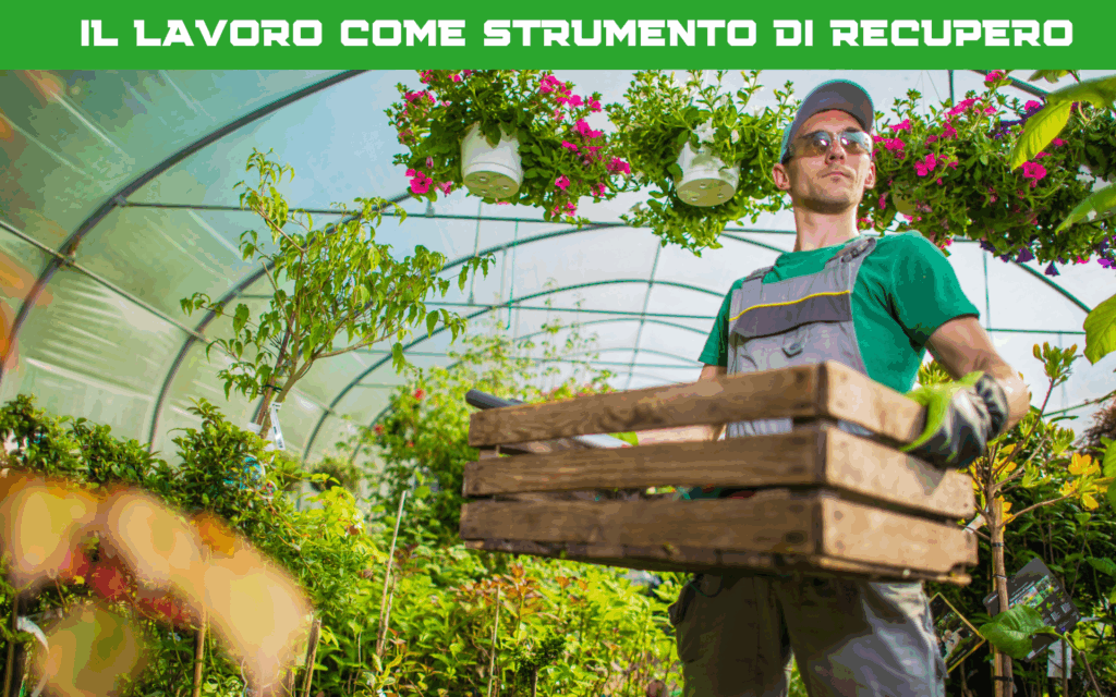 Il lavoro nelle serre è parte del percorso di recupero di Cascina Verde