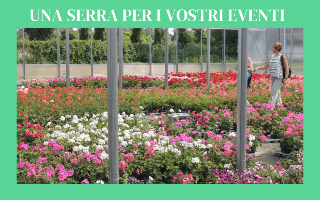 Cascina Verde mette a disposizione le sue serre per eventi aziendali, mostre, presentazioni